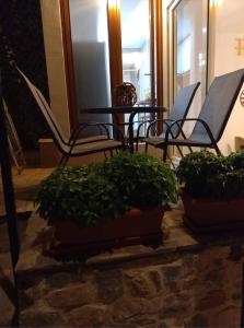 a group of chairs and plants on a table at Rafailia's House in Kallirakhi