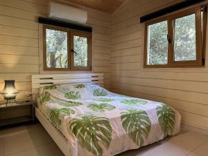 een slaapkamer met een bed in een kamer met 2 ramen bij לב אמירים in Amirim