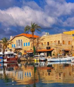 un groupe de bateaux est amarré dans un port de plaisance dans l'établissement Dar Alice, à Tyr