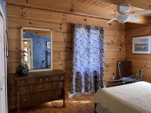 a bedroom with a ceiling fan and a mirror at Beautiful Log Home, Lake side. in New Hope