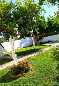 two trees in a garden with flowers in the grass at Sweet home #chania in Perivólia