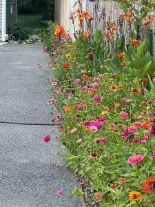 Crow's Nest - Private Guest Apt Near Bike Trail/3.7 mi to Beach外面的花园