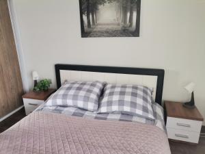 a bedroom with a bed with two night stands and a picture at Apartament Widok Polana Szaflarska in Nowy Targ