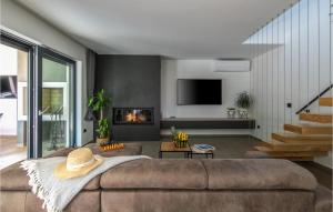 un salon avec un canapé et une cheminée dans l'établissement Lovely Home In Nedescina With Sauna, à Nedeščina