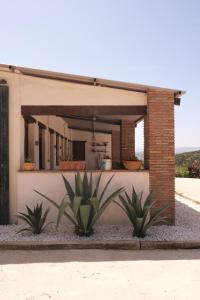 a house with two plants in front of it at The Wild Olive Andalucía Palma Guestroom in Casares