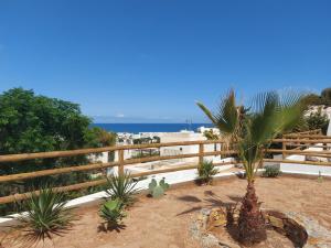 a fence and some plants in front of the ocean at Casa A.Mar in Las Negras