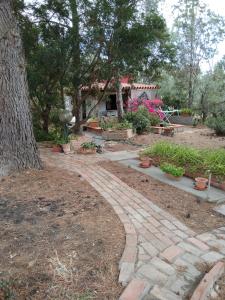 a brick walkway in a garden with a tree at Tiny House in Cagliari