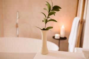 Koupelna v ubytování Casa Aura Hotel