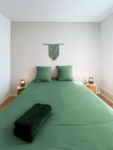 Una gran cama verde con una manta verde. en Appart'Hôtel Le Jaurès - Jardin privé et Netflix, en Belfort