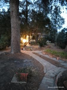 A garden outside Tiny House