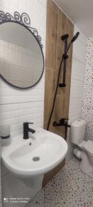 a bathroom with a sink and a mirror and a toilet at Семейна къща “Вълчеви” in Kiten
