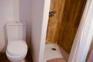 a small bathroom with a toilet and a shower at Apartamento Palmera in Argelaguer