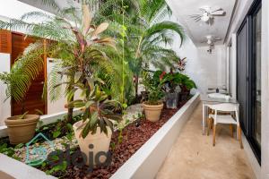Hotel Zendero Tulum في تولوم: شرفة بالنباتات وطاولة في الغرفة