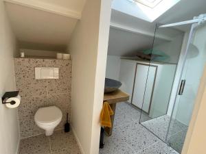 Nietap的住宿－B&B Unieks，一间带卫生间和玻璃淋浴间的浴室