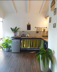 a kitchen with a table and some plants at Chilamate Holiday House in Puerto Viejo