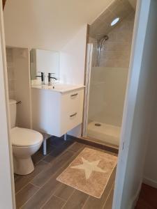 een badkamer met een toilet, een wastafel en een douche bij Charmante maison familiale in Montoire-sur-le-Loir
