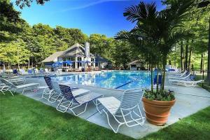 een zwembad met stoelen en een palmboom in een tuin bij Hidden Valley Condo at Resort- Walk to Slope, Golf, Hike in Somerset