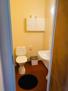 a bathroom with a toilet and a sink at Fristad Hostel Vitsand in Gunsjögården