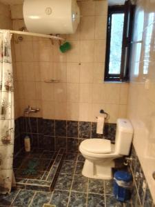 a bathroom with a toilet and a shower at Akrotirio Tainaro House in Marmari +107 photos