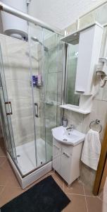 uma casa de banho com um chuveiro e um lavatório. em Prenoćište Dubravka em Livno