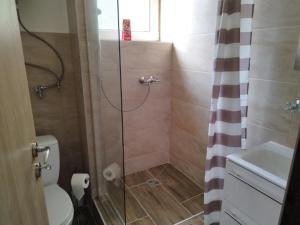ストラチナにあるPenzión Stratenkaのバスルーム(トイレ、ガラス張りのシャワー付)