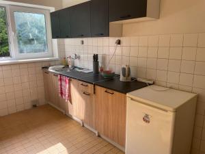 uma pequena cozinha com um lavatório e um frigorífico em Penzión Stratenka em Stratená