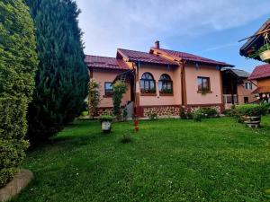 Valea FauruluiCasa Faurului的绿色草地的院子