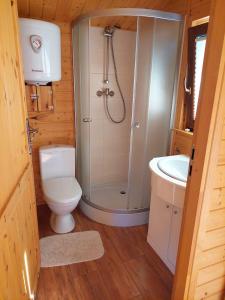 uma casa de banho com um chuveiro, um WC e um lavatório. em Domek em Świnoujście