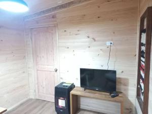 Habitación con TV en una pared de madera. en Casa Leon, en Puerto Varas