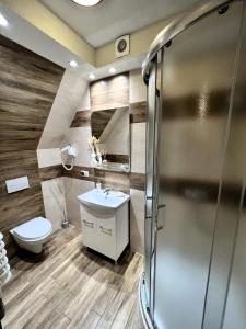 a bathroom with a shower and a toilet and a sink at Willa Siumno in Białka Tatrzańska