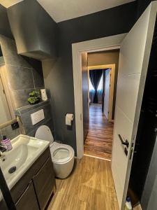 a bathroom with a white toilet and a sink at Relax House in Craiova