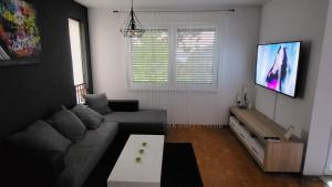 sala de estar con sofá y TV en Apartment Davor, en Pula