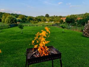 a fire pit in the middle of a field at Casa Faurului in Valea Faurului