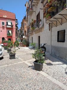 a street with potted plants on the side of a building at PAIPER B&B in Palermo