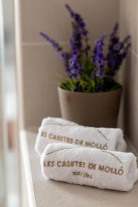 a towel sitting on a shelf with a pot of flowers at Les Casetes de Molló in Molló