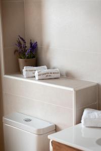 uma casa de banho com WC, 2 toalhas e uma planta em Les Casetes de Molló em Molló