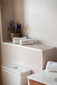 a bathroom with a toilet and two towels and a plant at Les Casetes de Molló in Molló +24 photos