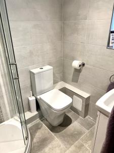 a bathroom with a toilet and a shower at Pixie Cottage in Stoborough