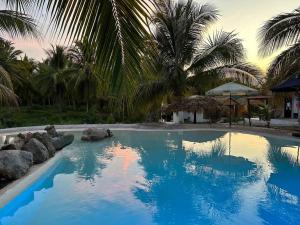 a swimming pool with blue water and palm trees at Casa Aurora Playa La Saladita in La Majahua