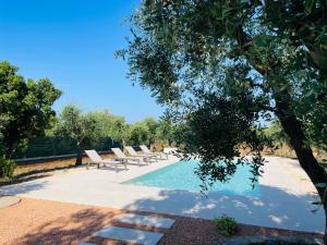 a swimming pool with lounge chairs and a tree at TRULLO FERNANDO in San Michele Salentino