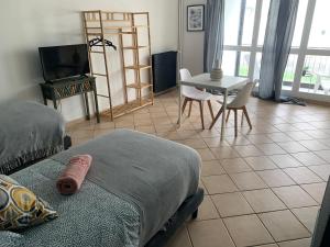 TV a/nebo společenská místnost v ubytování Le St Brieuc