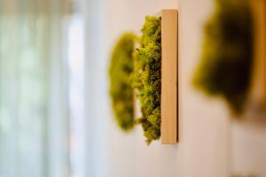 a piece of broccoli hanging on a wall at PLANT HOUSE Roma Eur in Rome