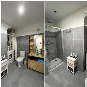 2 fotografías de un baño con ducha y aseo en Studio centre village en Bocognano