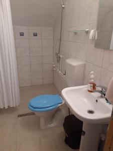 La salle de bains est pourvue de toilettes bleues et d'un lavabo. dans l'établissement Cazare Adela, à Horezu