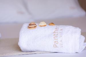 Fotografie z fotogalerie ubytování Pantheon Sea View v destinaci Néoi Póroi