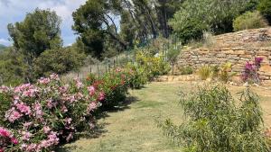 Zahrada ubytování Maison 3 ch 6 pers Sanary vue dominante mer - plage à 400 m - accès piscine - jardin - wifi - terrasse - pergola bioclimatique - climatisation - location par semaine complète