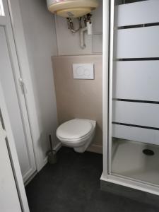 ein kleines Bad mit einem WC und einer Glastür in der Unterkunft Studio Molinel in Lille