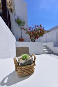 a plant in a basket sitting on a table at Kalidon beach Hotel in Kokkari