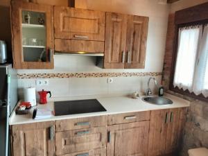 a kitchen with wooden cabinets and a sink at El Arniu in Cangas de Onís