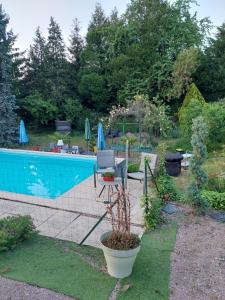 a garden with a pool and a plant in a pot at L'hacienda de Maria montchanin in Montchanin